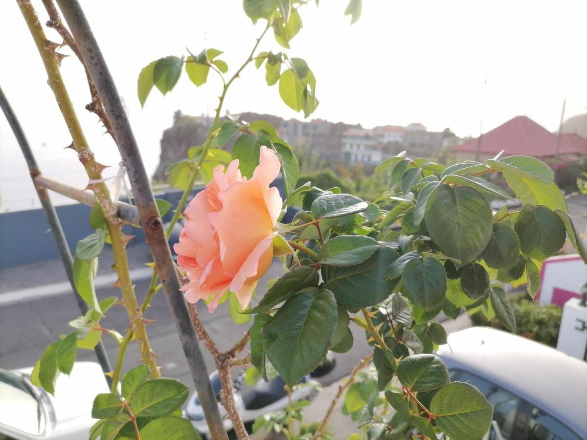 Westerland House Ribeira Brava Zewnętrze zdjęcie