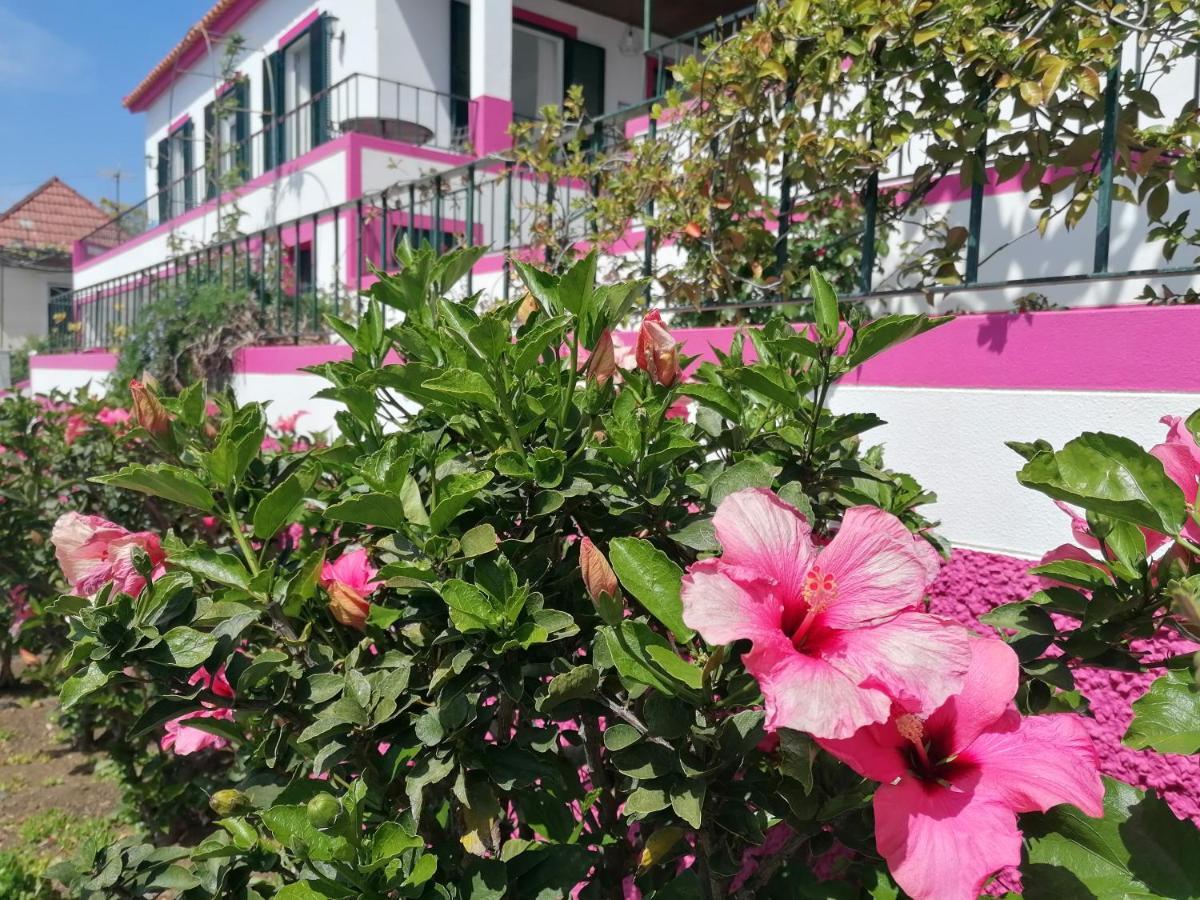 Westerland House Ribeira Brava Zewnętrze zdjęcie
